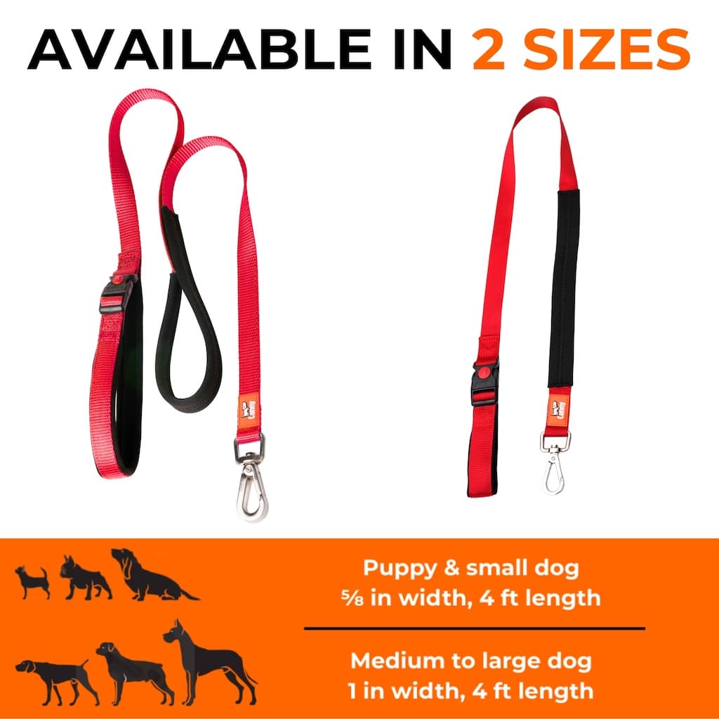 Canny Connect leash sizes: 5/8 inch for puppies and small dogs, 1 inch for medium and large