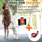 Woman walking a retriever on a Canny Connect anti-escape leash with a Canny head collar