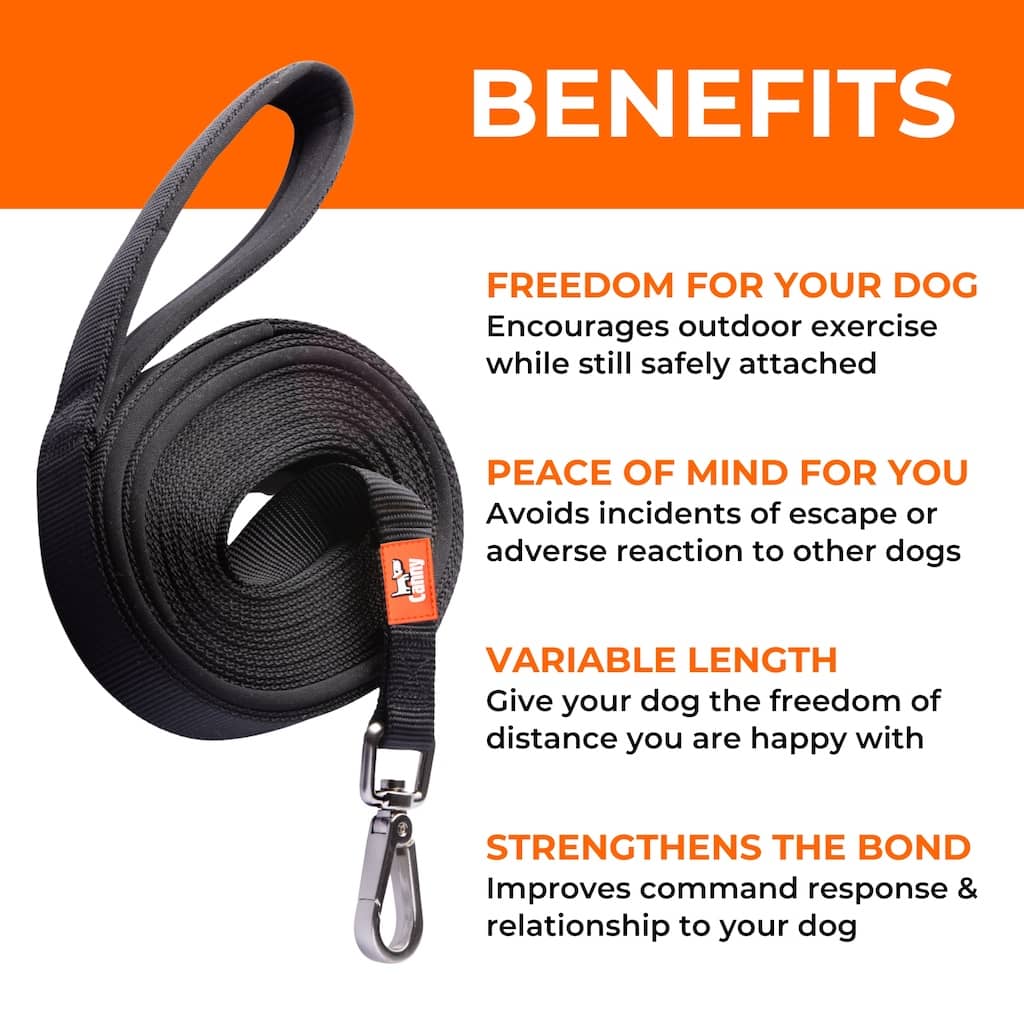 Training benefits of the Canny Long Training Line, a recall leash that lets your dog explore safely