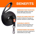 Training benefits of the Canny Long Training Line, a recall leash that lets your dog explore safely