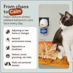 Plug-in cat calming pheromone diffuser for the home