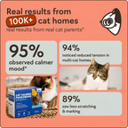 Cat calming diffuser starter kit with refills