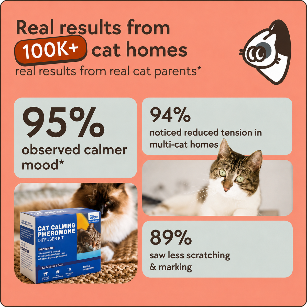 Cat calming diffuser starter kit with refills