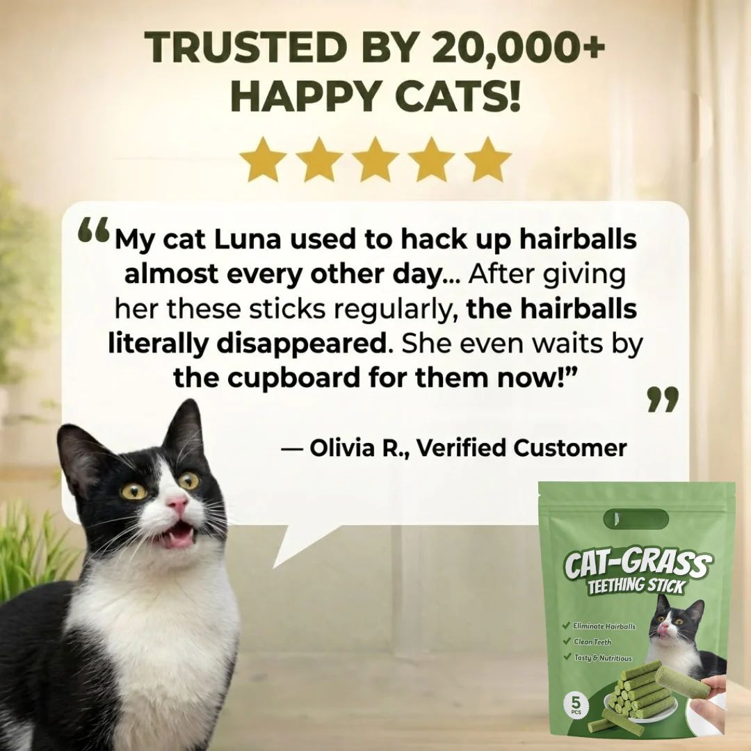 Chewy grass teething sticks for feline dental care