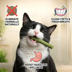 Chewy grass teething sticks for feline dental care