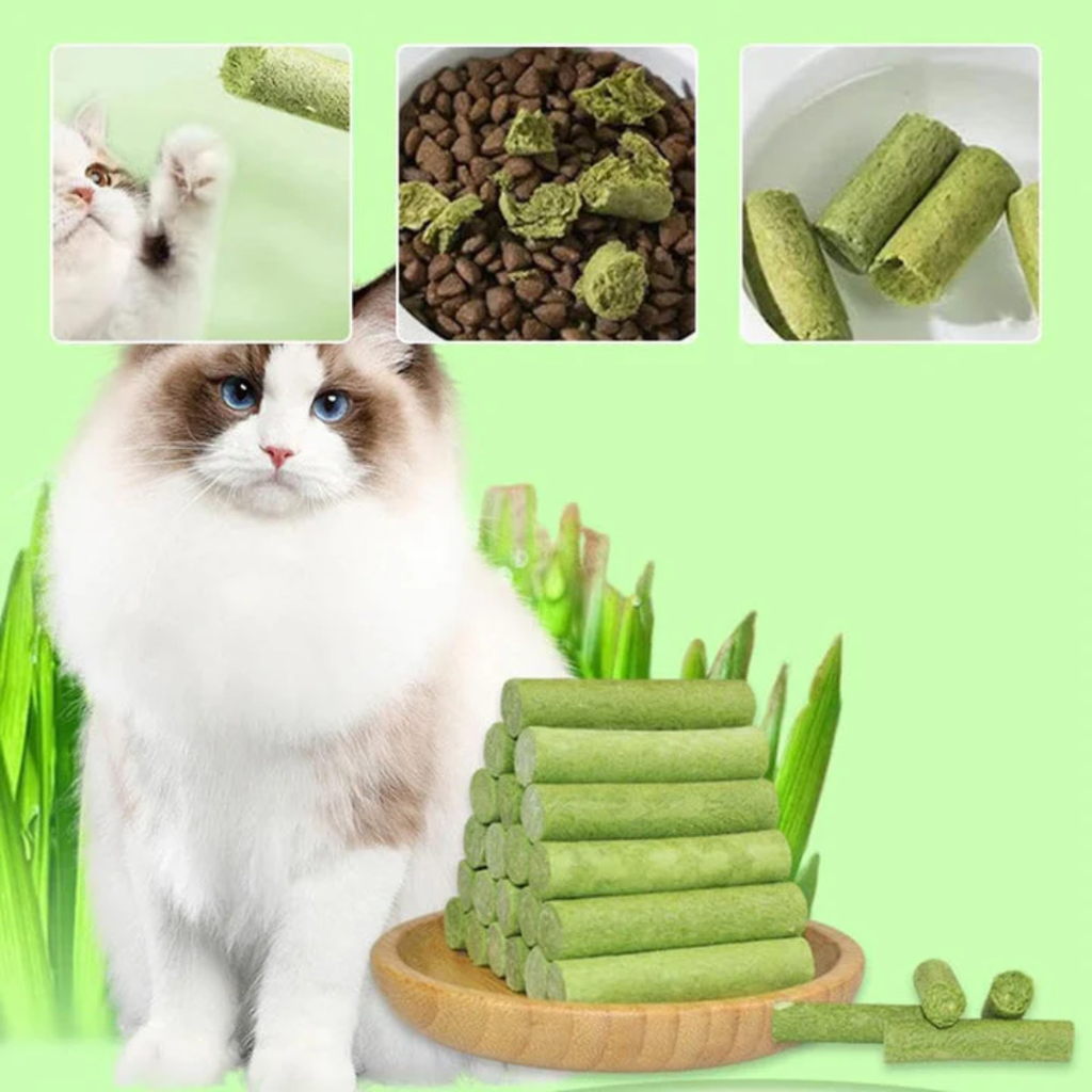Natural cat chew sticks for teething and oral health