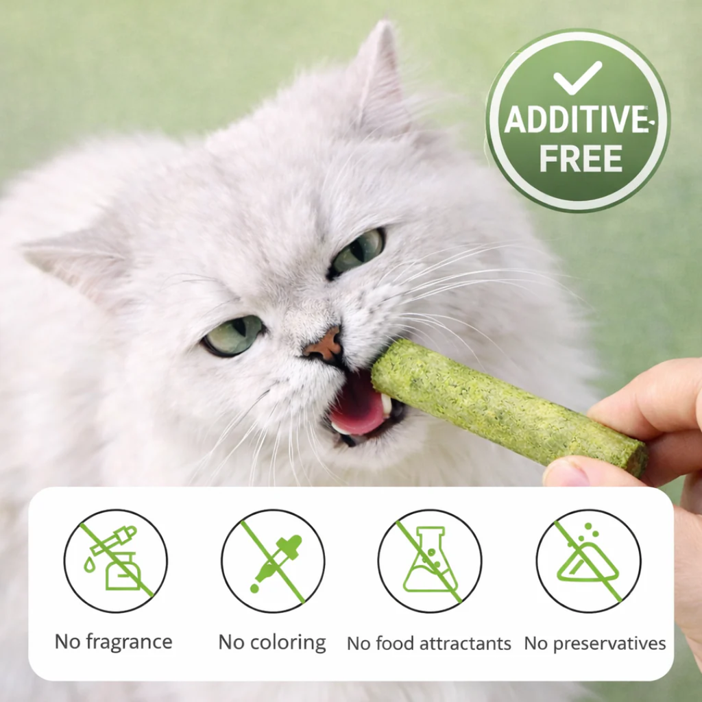 High-protein cat teething sticks for kittens and adult cats