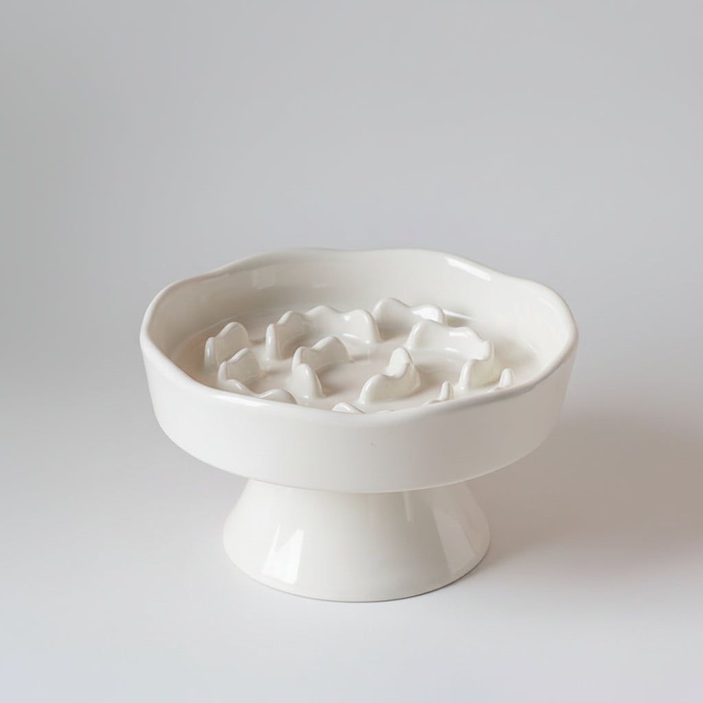 White ceramic elevated slow feeder bowl on a raised foot, sized for cats and small dogs
