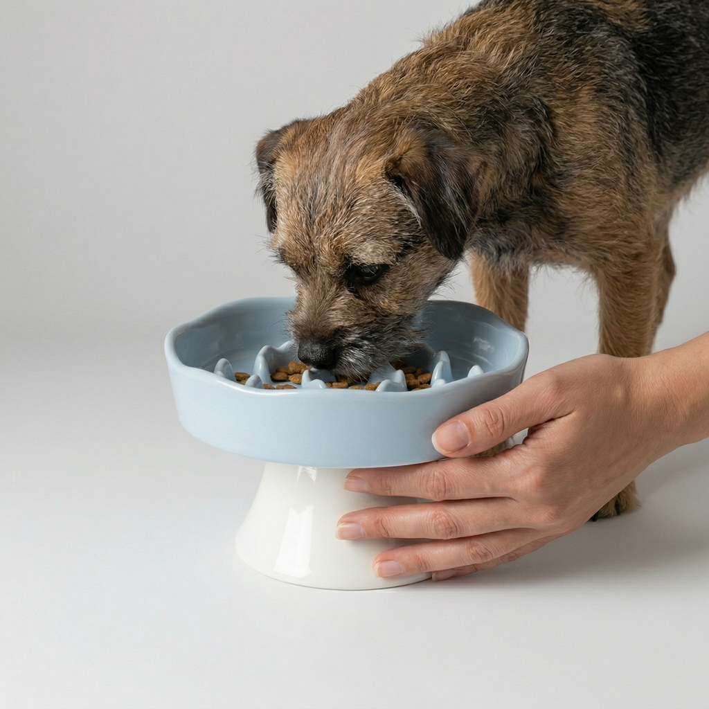 High-footed ceramic slow feeder pet bowl with a slow-feeding surface that spreads each portion
