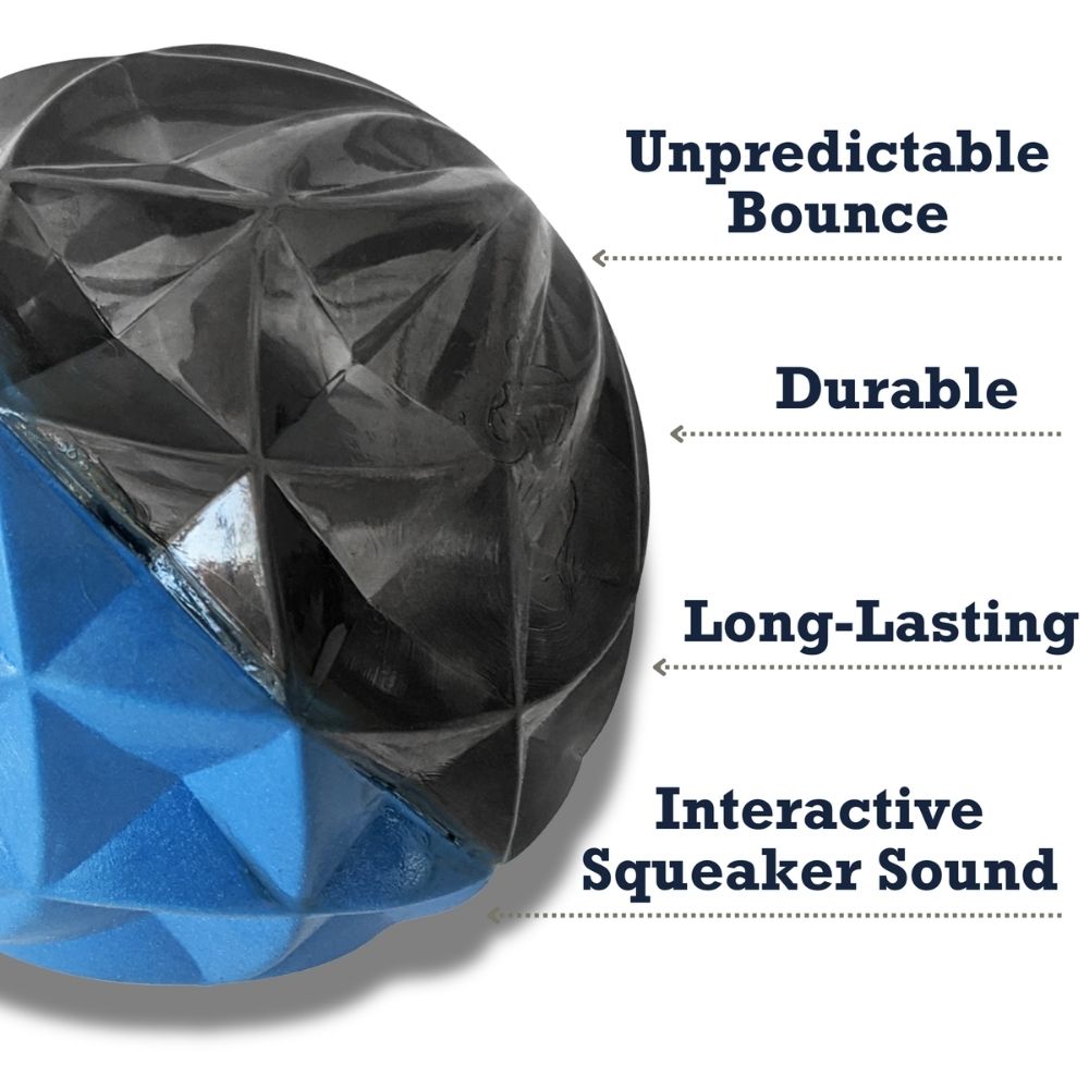 Large angular TPR dog ball from Country Living with an unpredictable bounce for chase games