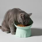 Cute raised cat bowl with cartoon ears on a stable plastic stand