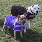 Second lifestyle photo of the Derby Originals Ruff Pup 150g insulated coat for winter walks