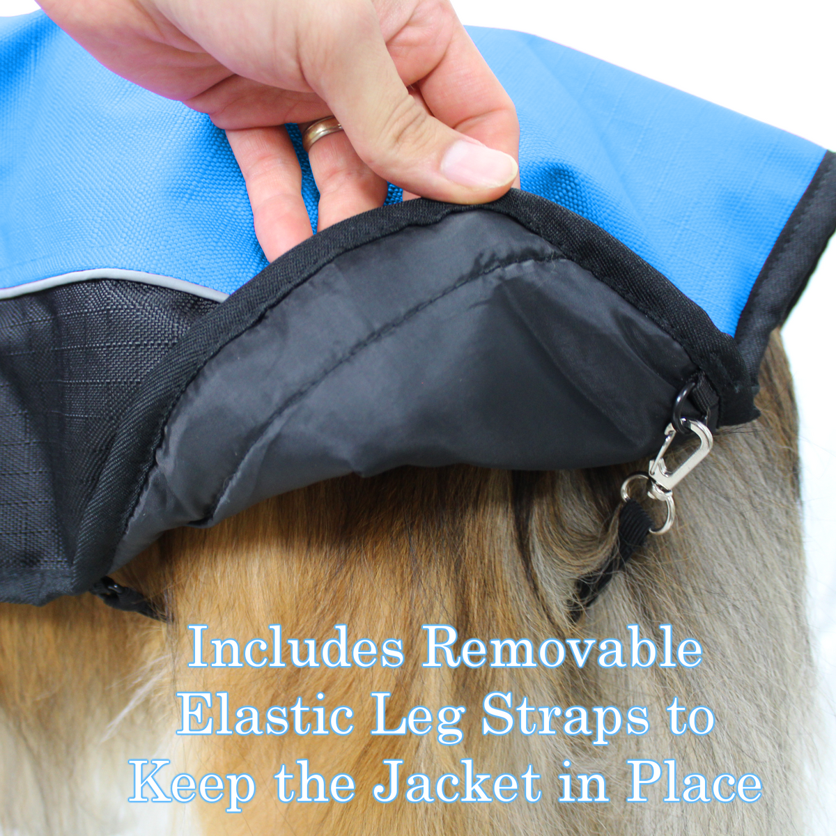 Removable elastic leg straps on the Derby Originals Ruff Pup neck-cover winter dog coat