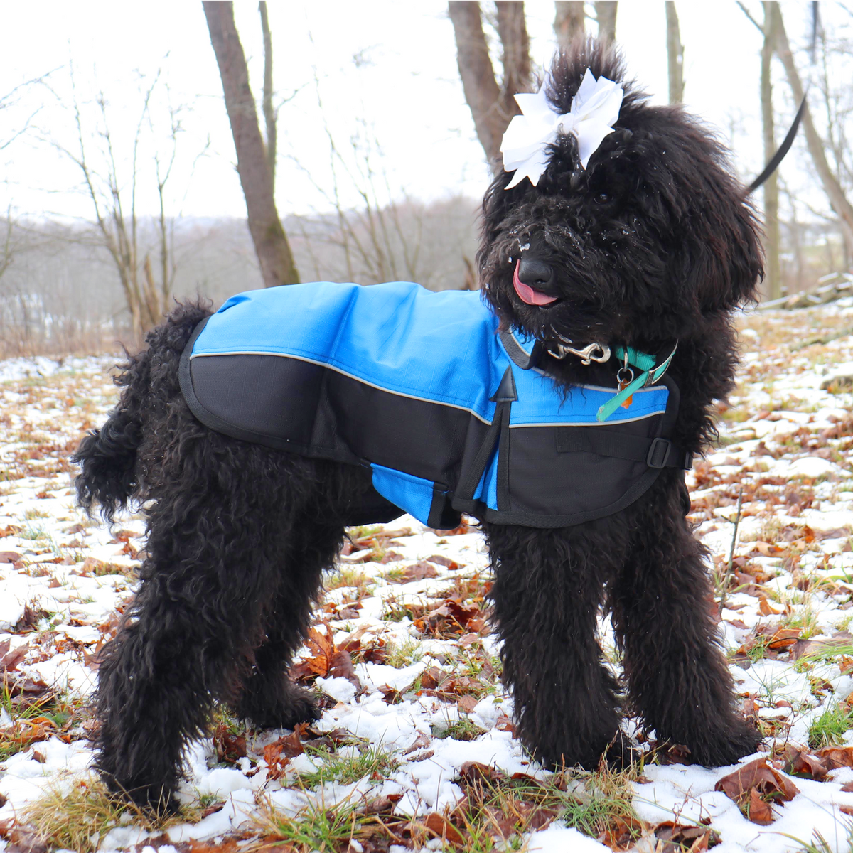 Forest lifestyle photo of the Derby Originals Ruff Pup 1200D waterproof winter dog coat