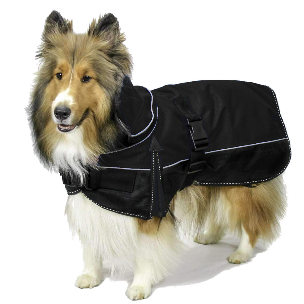 All-black Derby Originals Ruff Pup 1200D winter dog coat with a removable neck cover