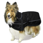 All-black Derby Originals Ruff Pup 1200D winter dog coat with a removable neck cover