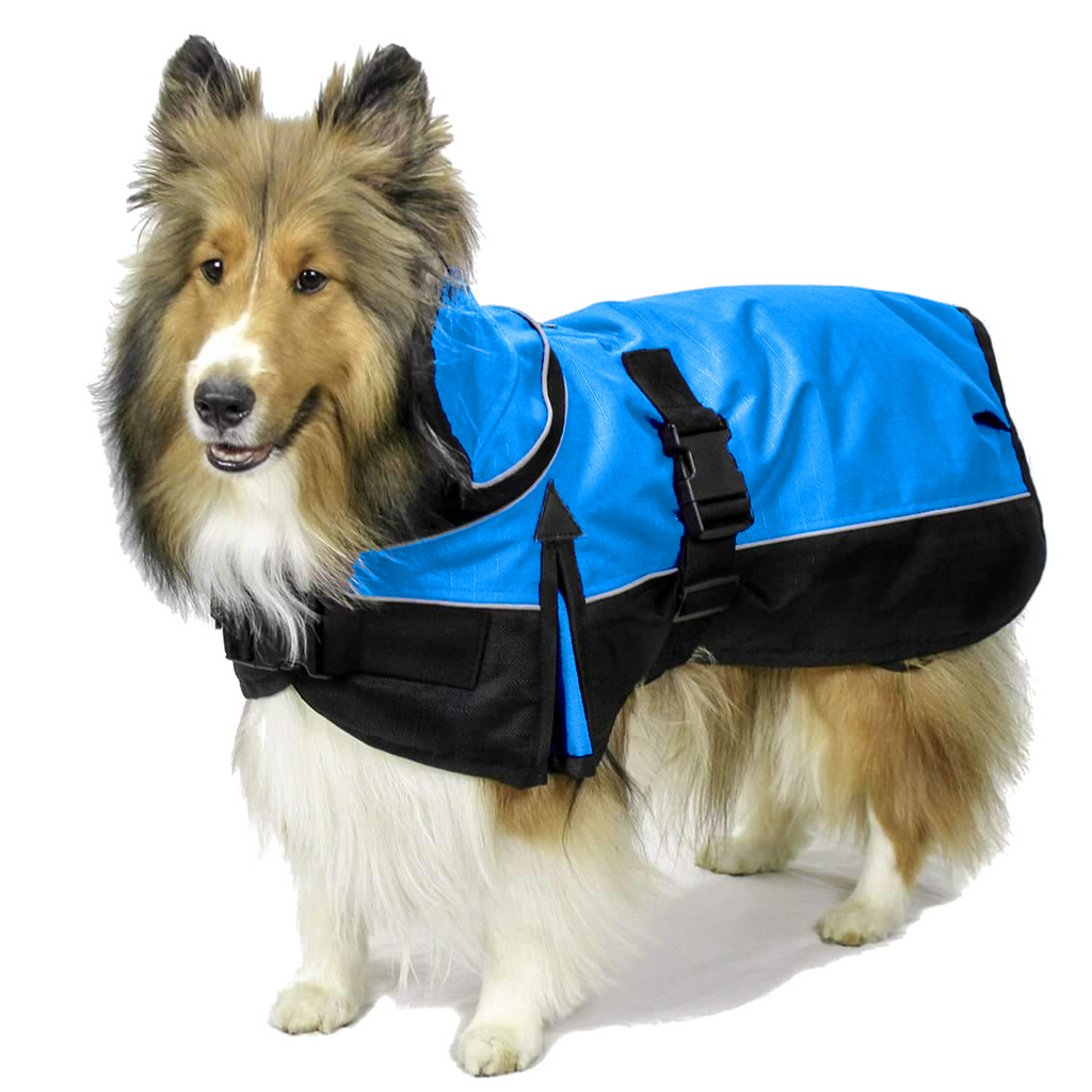 Electric blue and black Derby Originals Ruff Pup 1200D dog coat with 220g insulation