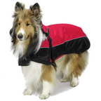 Red and black Derby Originals Ruff Pup 1200D winter dog coat with adjustable chest buckles