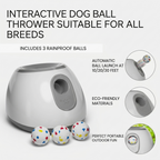 Interactive fetch toy for dogs that reloads automatically for backyard play