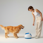 Automatic dog ball thrower that comes with a power adapter and 3 foam balls