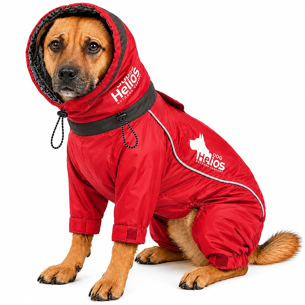 Dog Helios full-body dog jacket with 3M reflective tubing and taping for night walks