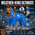 Dog Helios Weather-King winter jacket with a hood that closes in around the face for warmth
