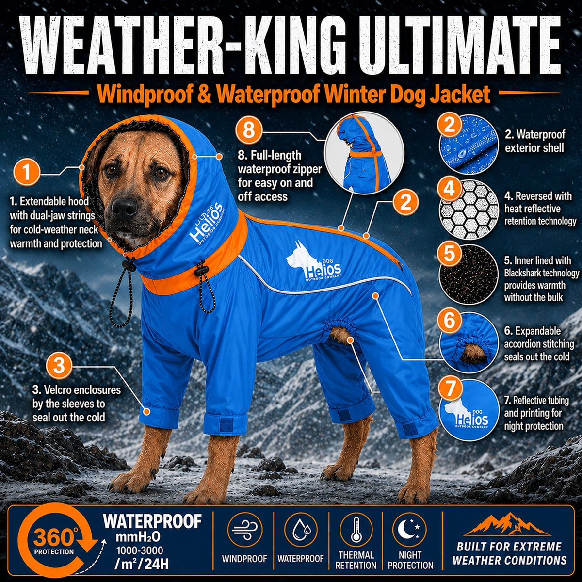 Dog Helios Weather-King winter jacket with a hood that closes in around the face for warmth