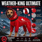 Dog Helios Weather-King windproof dog jacket with a Blackshark heat-retention inner lining
