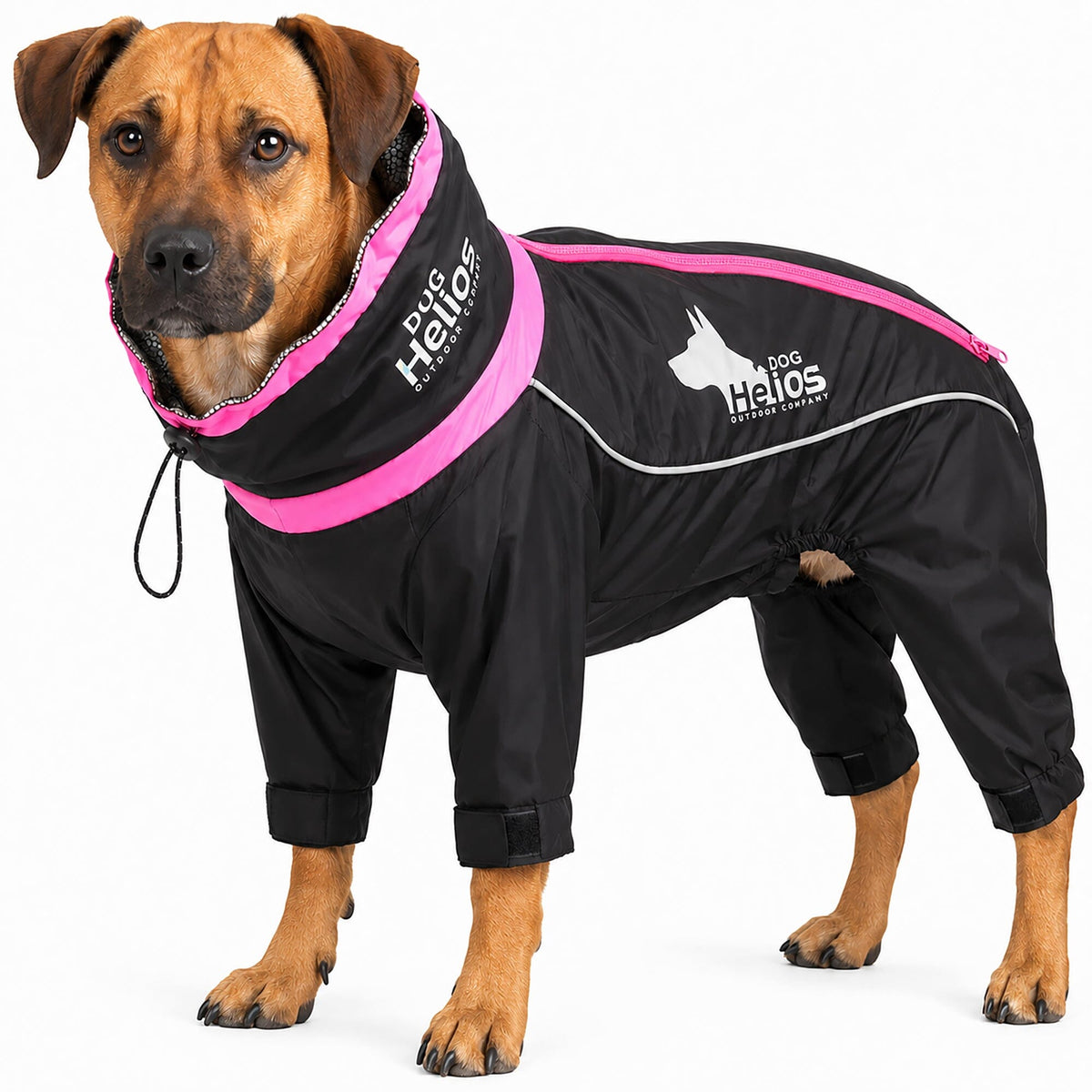 Black Dog Helios Weather-King full-body winter dog jacket with 3M reflective trim