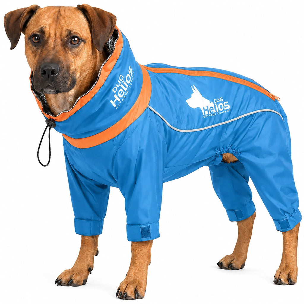 Blue Dog Helios Weather-King windproof full-body dog jacket with a waterproof polyester shell