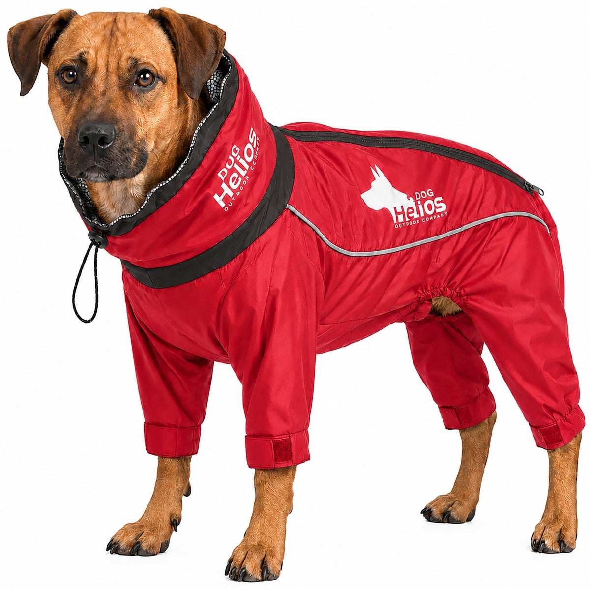 Red Dog Helios Weather-King full-body winter dog jacket with an adjustable hood and sleeves