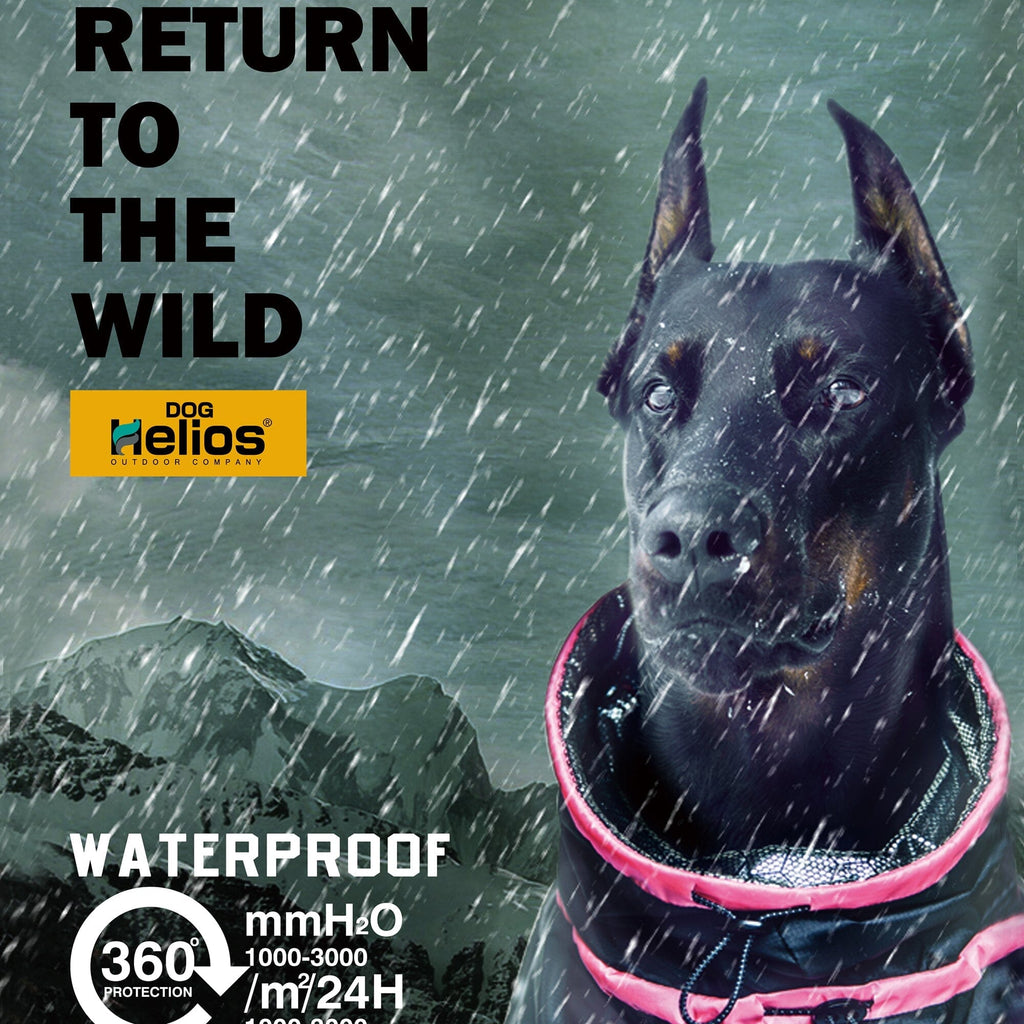 Dog Helios Weather-King dog jacket in sizes XS to XL, from 8 to 24 inches neck to tail