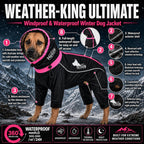 Dog Helios Weather-King jacket made with a snow proof, breathable, tear-resistant lining