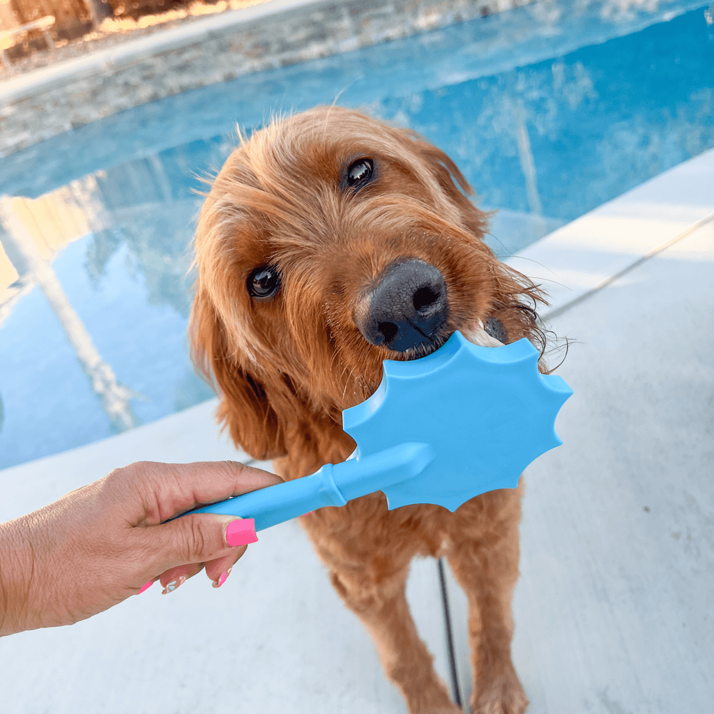 Second photo of a dog licking the light blue Flower lick stick by SodaPup