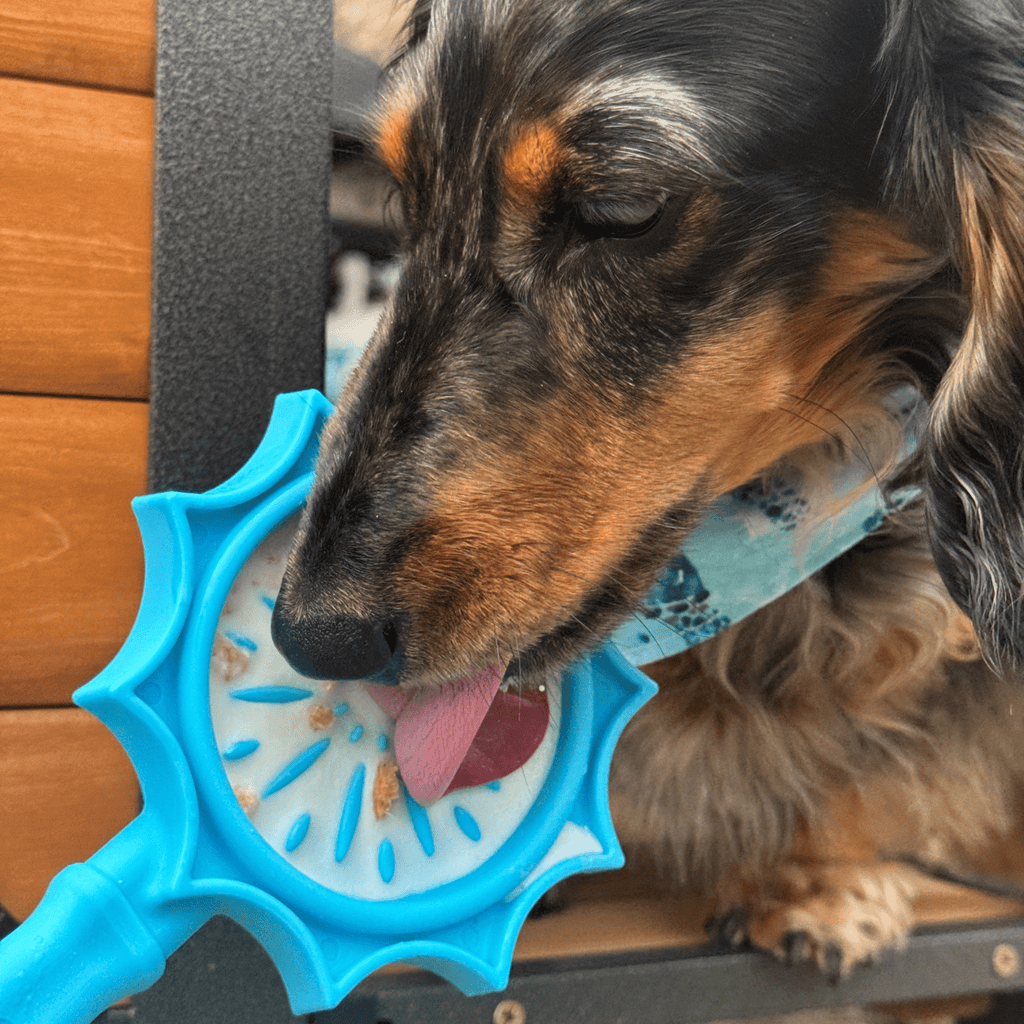 Dog licking the Blue Flower lick stick, a US-made SodaPup training tool from Farm to Pet
