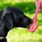 Dog licking the Pink Ice Cream lick stick, a SodaPup lick stick sold by Farm to Pet