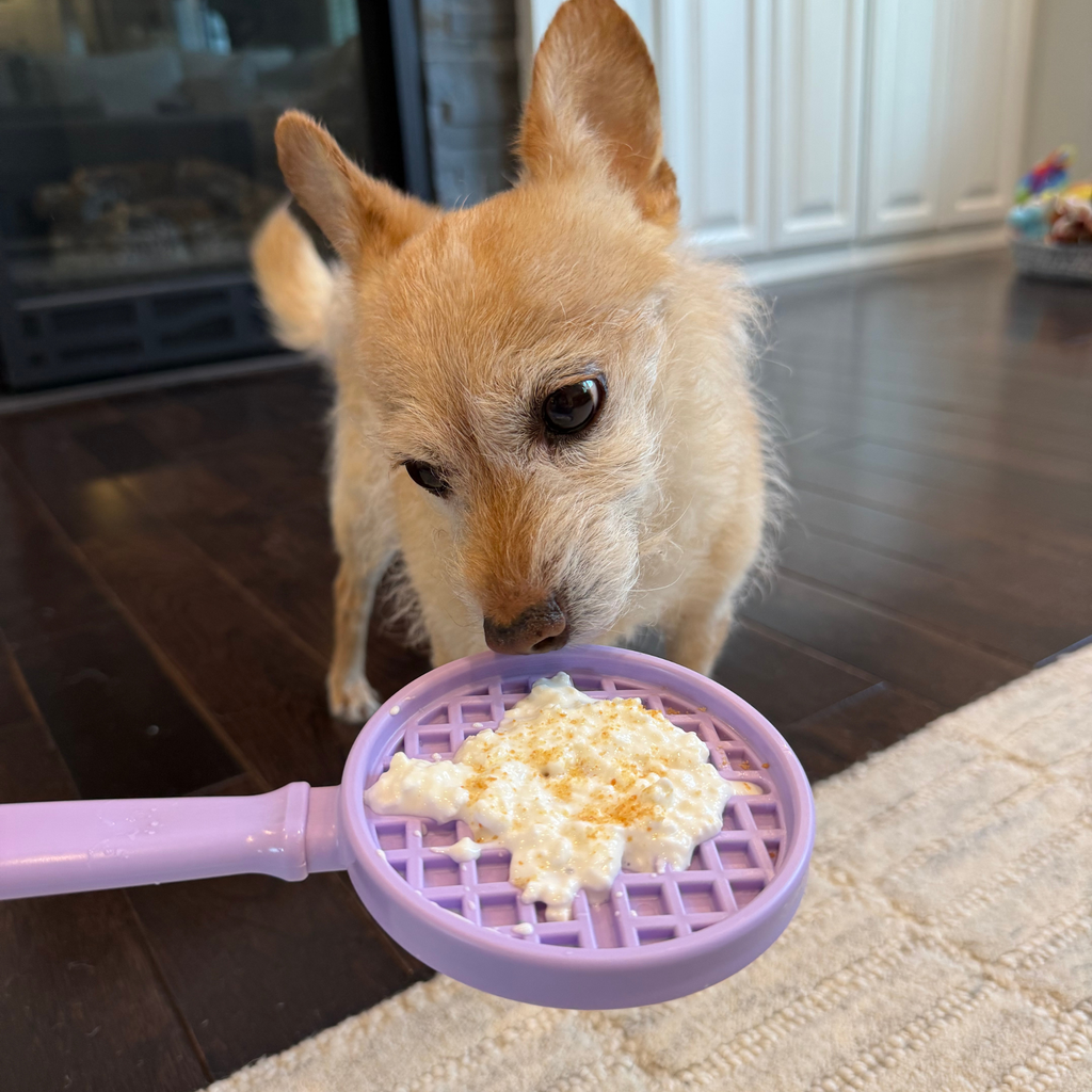 Another dog licking the pastel purple Waffle lick stick, a SodaPup hand-held lick mat