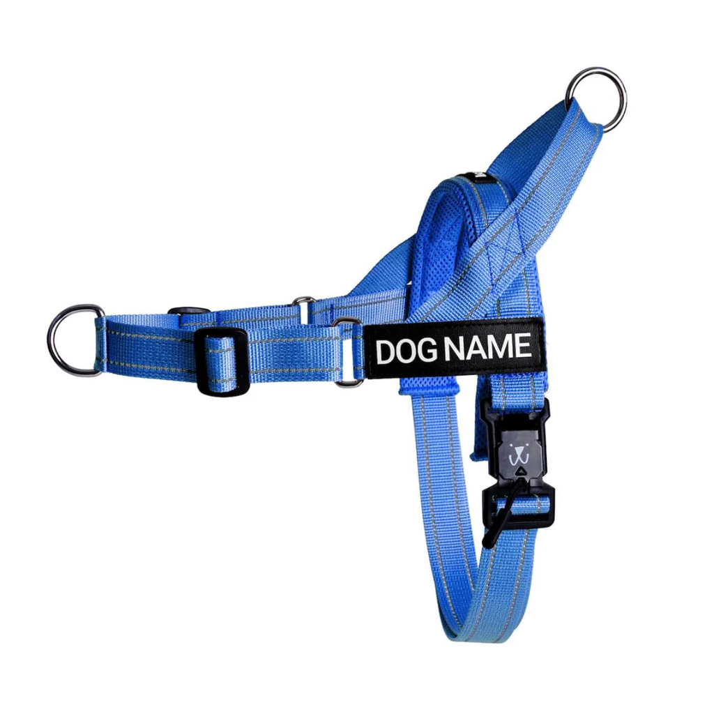 EasyFit personalized no-pull dog harness