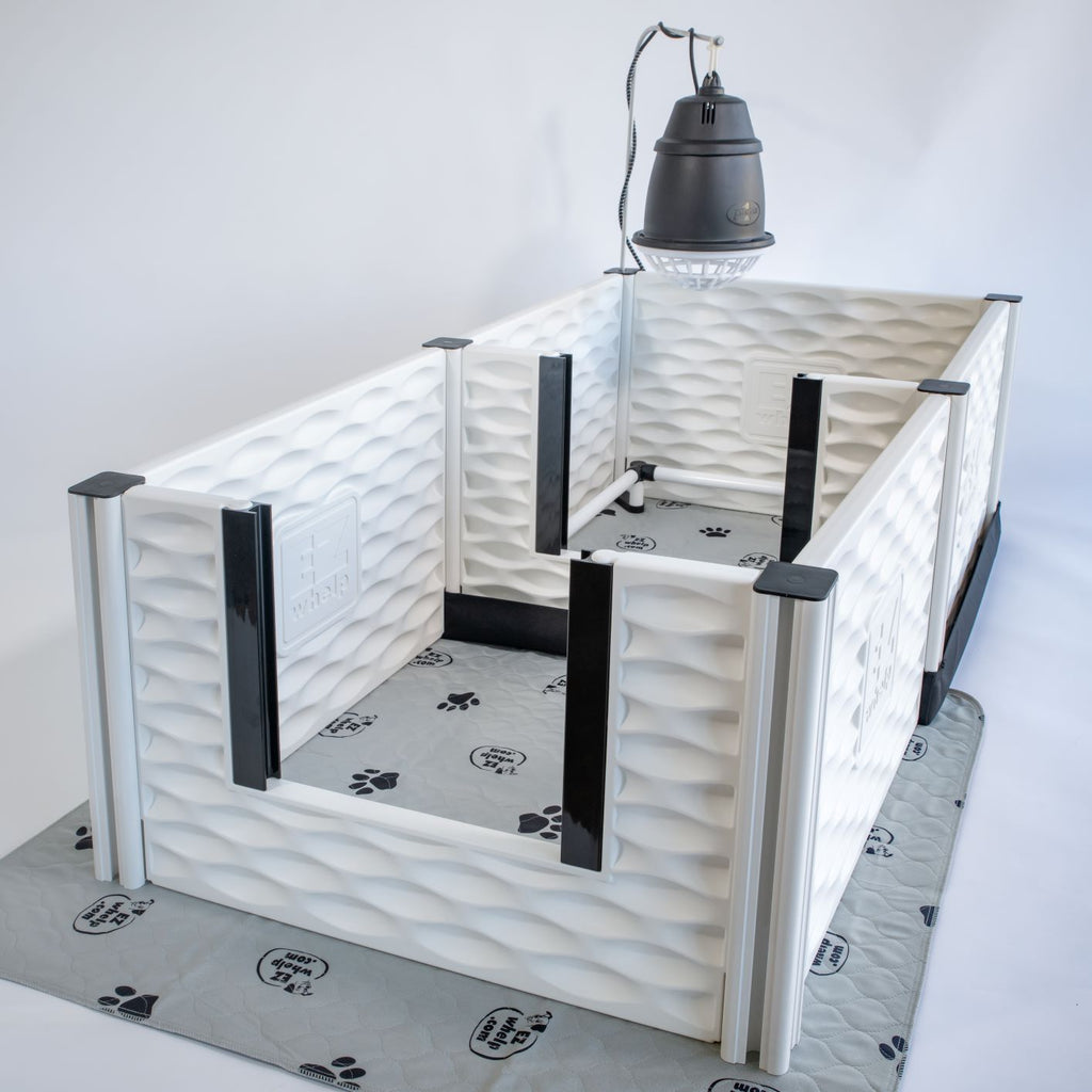 EZclassic 28 x 28 whelping box with an EZwhelp Add-On Room attached for a potty or play area