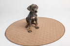 Dog on a round EZwhelp brown laminated pad with a coffee-colored, stain-resistant top