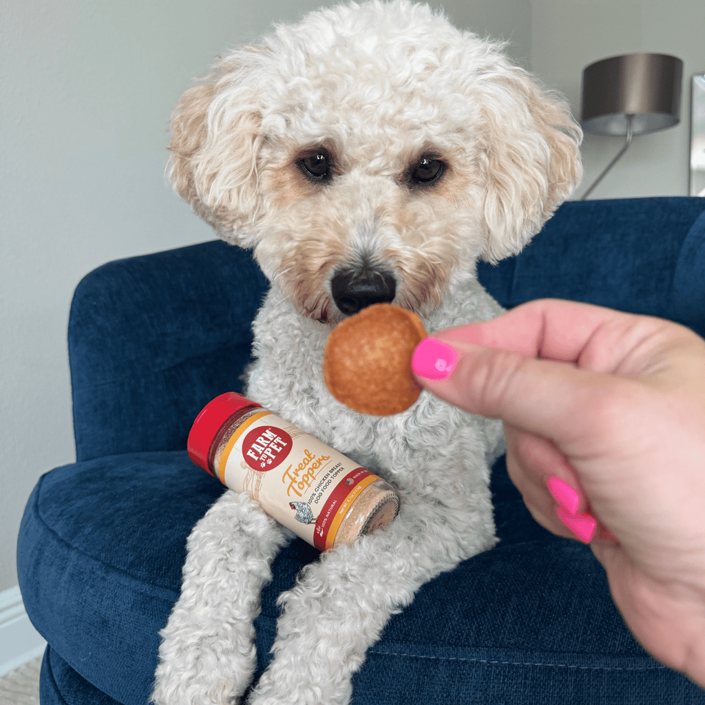 Dog with a chicken chip and Farm to Pet Chicken Treat Topper, made from the same chicken breast