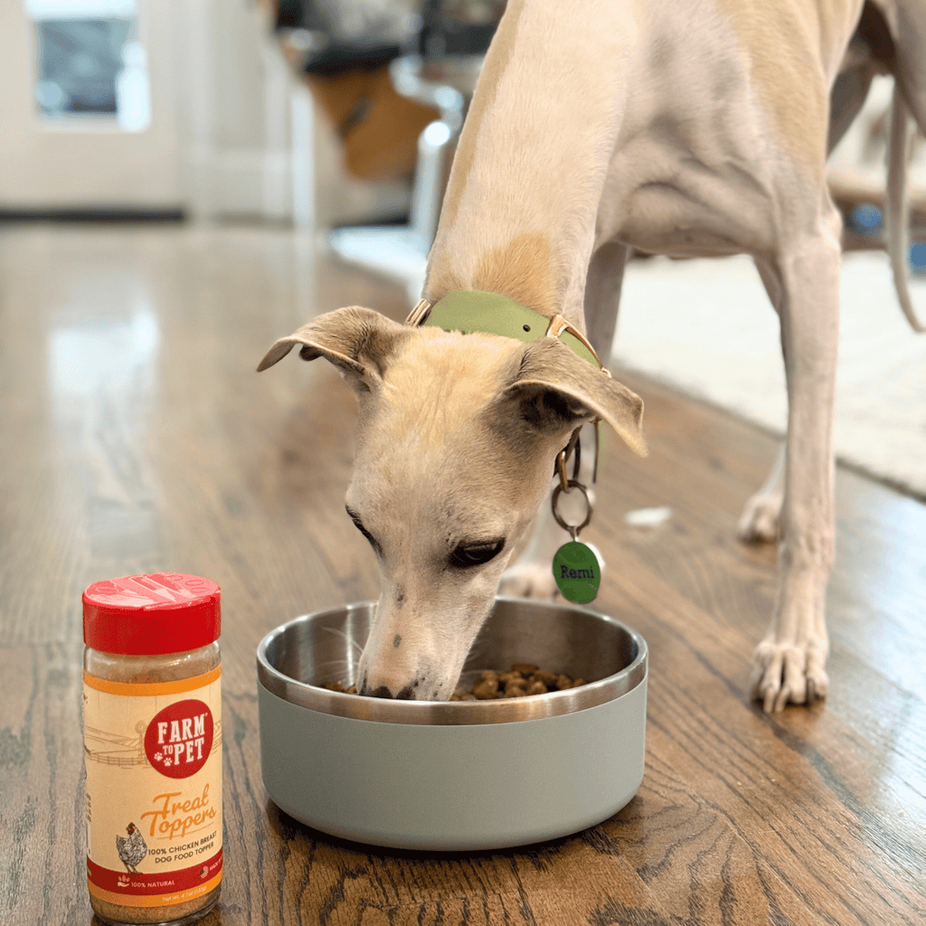Dog with Farm to Pet Chicken Treat Topper, single-ingredient chicken powder made in the USA