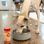 Dog with Farm to Pet Chicken Treat Topper, single-ingredient chicken powder made in the USA