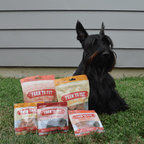 Single-ingredient Farm to Pet chips used as dog training treats, from the Puppy Pack bundle
