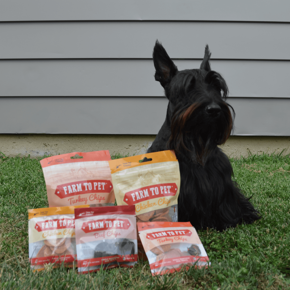 Single-ingredient Farm to Pet chips used as dog training treats, from the Puppy Pack bundle