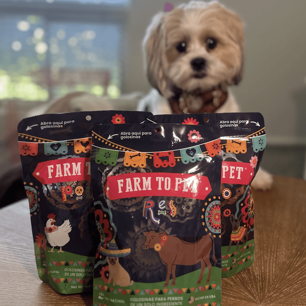 A dog with the Farm to Pet Fiesta Pack dog treat variety bundle of three single-ingredient chips