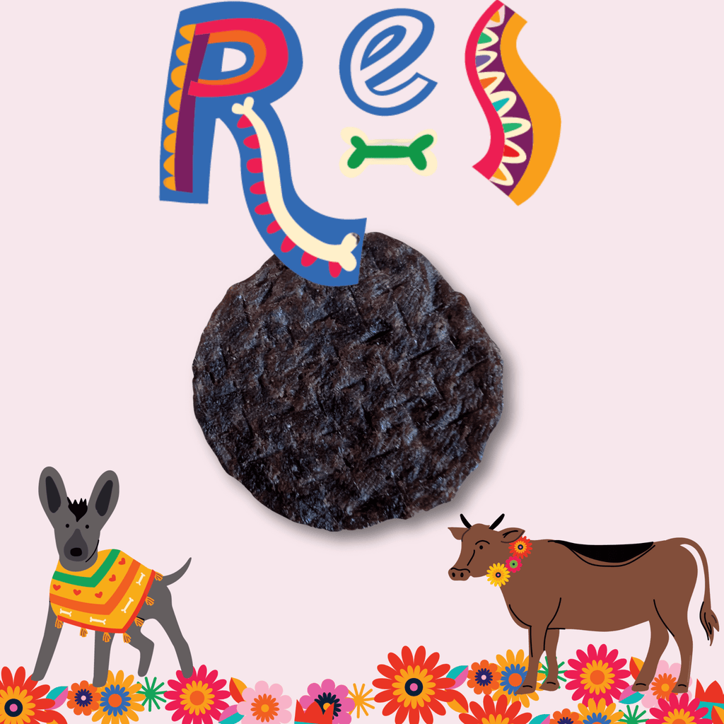 Latin-themed mural design on the Farm to Pet Premios Para Perros Fiesta Pack treat bags