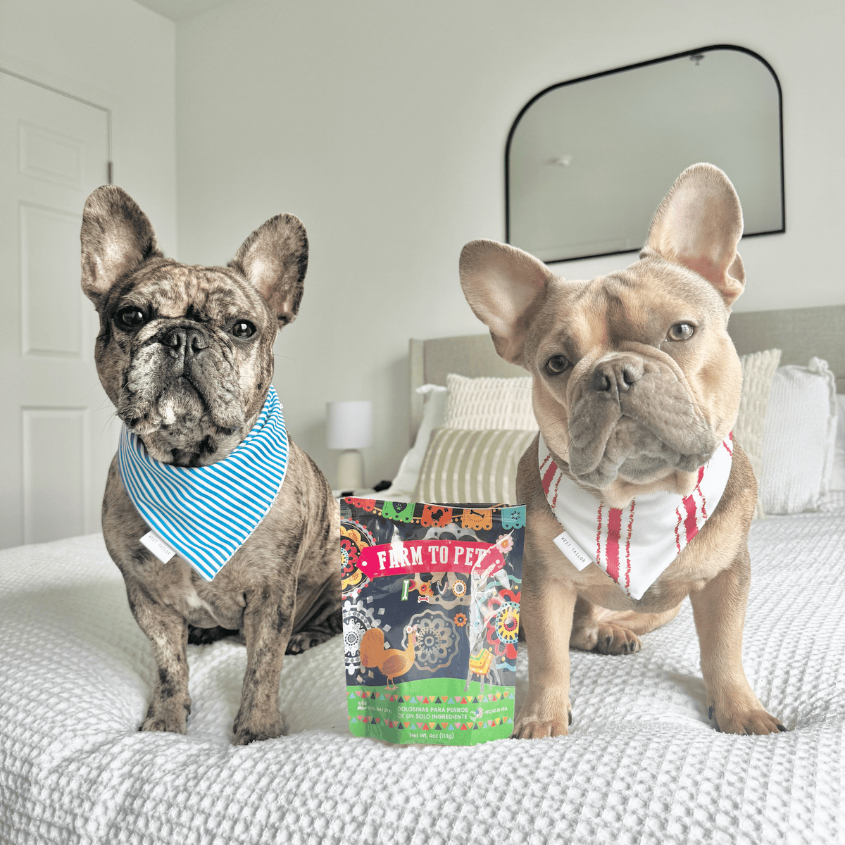 Two dogs and the Farm to Pet Premios Para Perros Fiesta Pack of beef, chicken and turkey chips