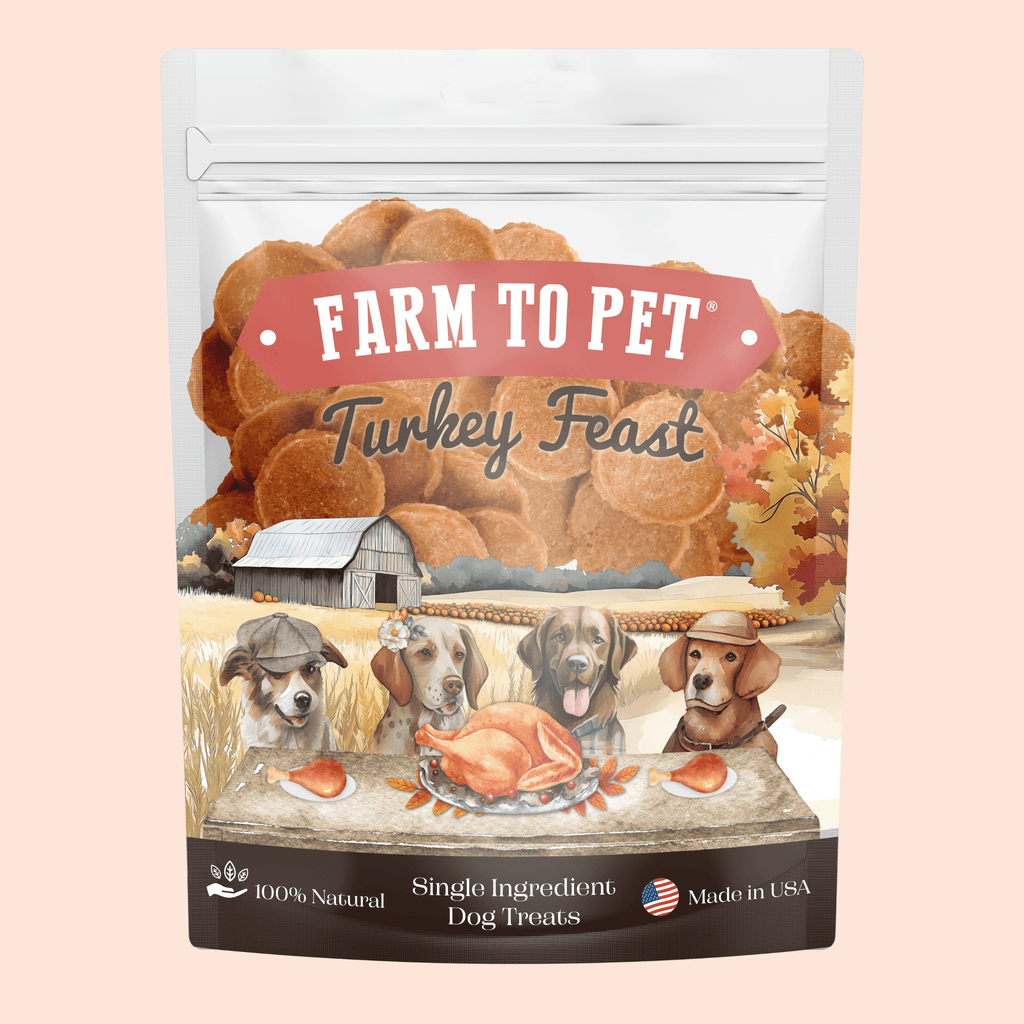 Front of the 12 oz Farm to Pet Turkey Feast Chips bag, high-protein Thanksgiving dog treats