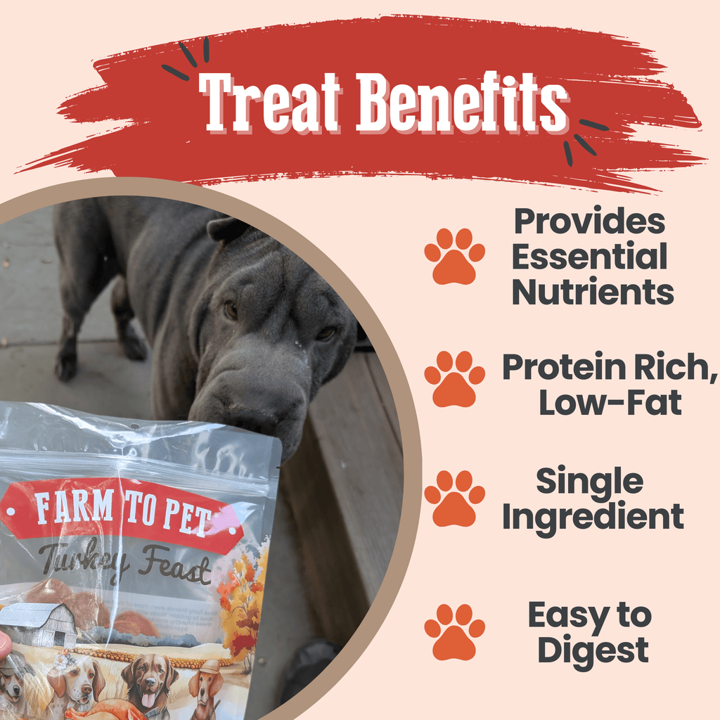Benefits graphic for Farm to Pet Turkey Feast Chips, 85% minimum protein turkey dog treats